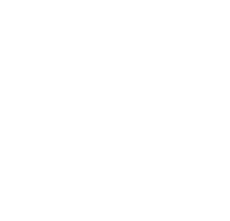 Bravo Wellness Lifestyle